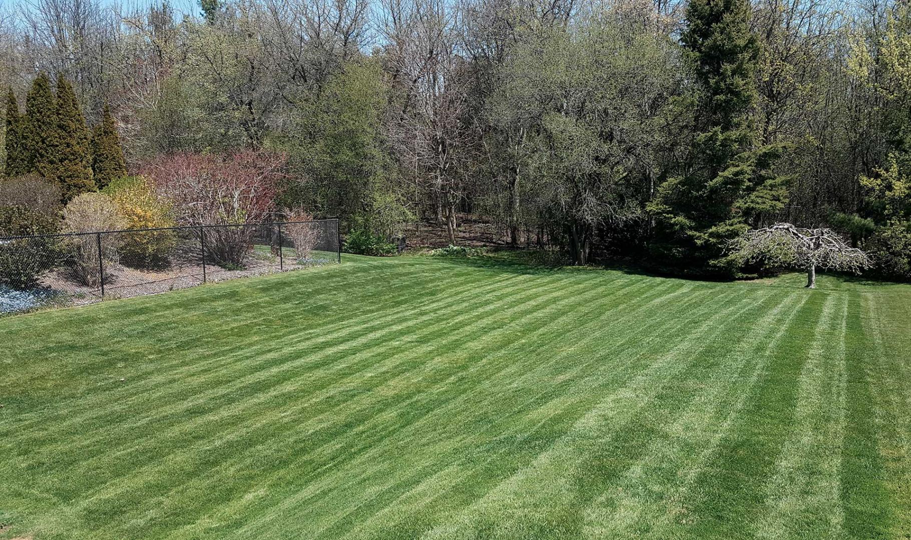 Turf Care Whitby