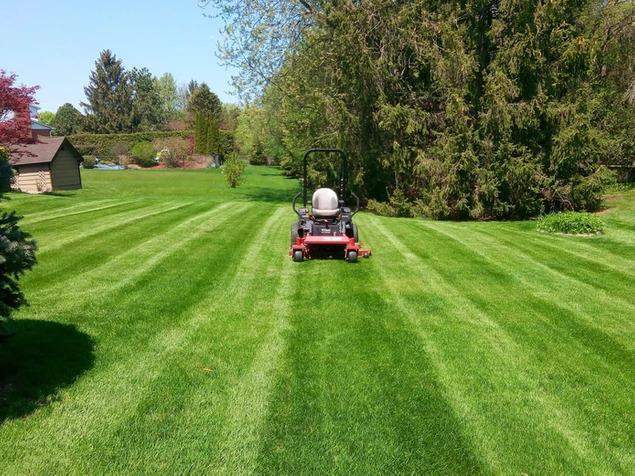 Lawn mower Oshawa