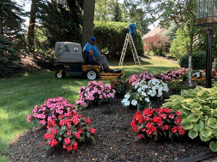 Lawn care properly and regularly Oshawa