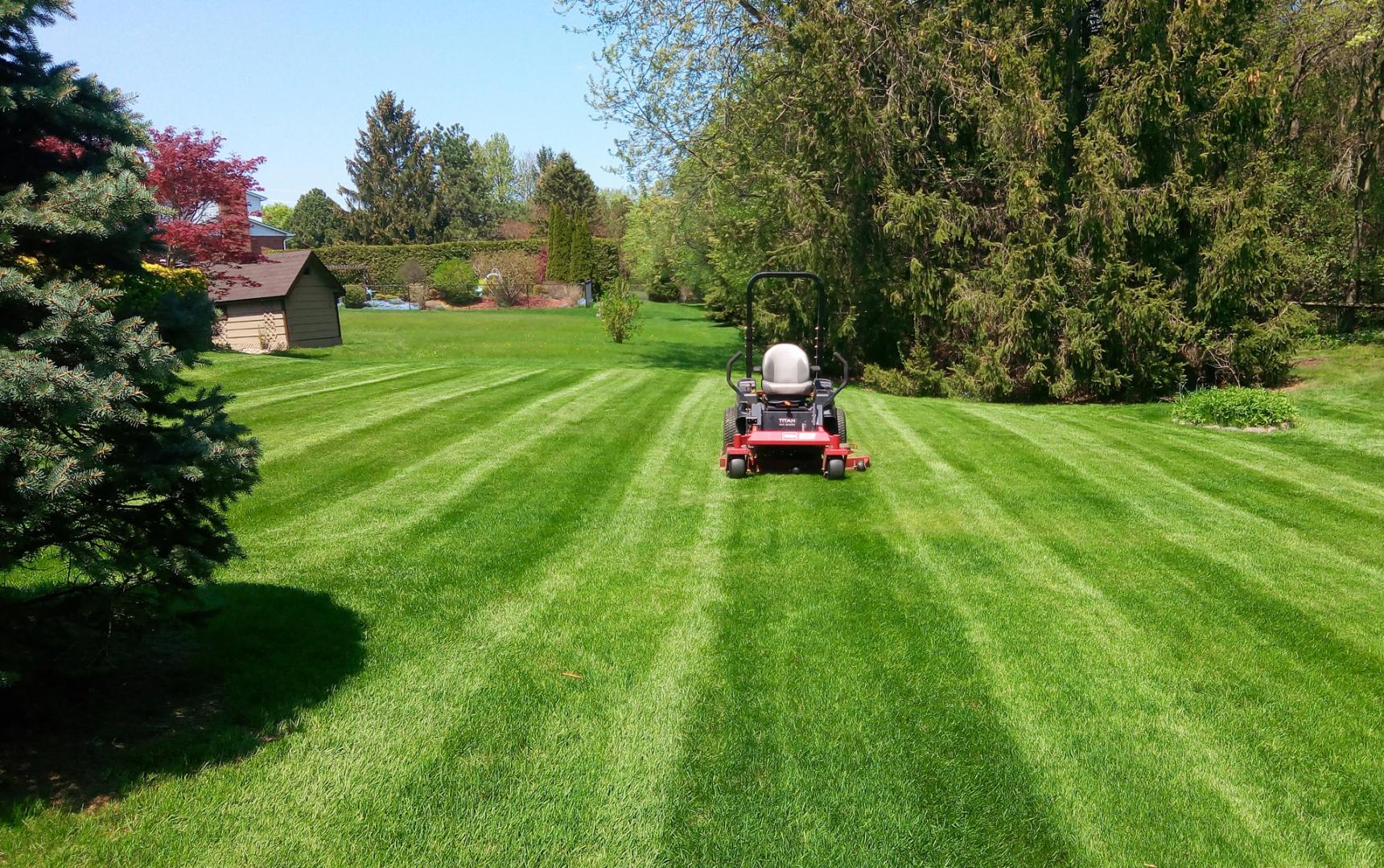 Lawn Maintenance Pickering