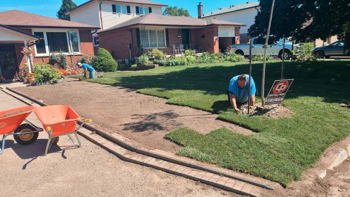 Installation of sod Oshawa