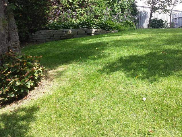 Lawn and maintenance care Oshawa