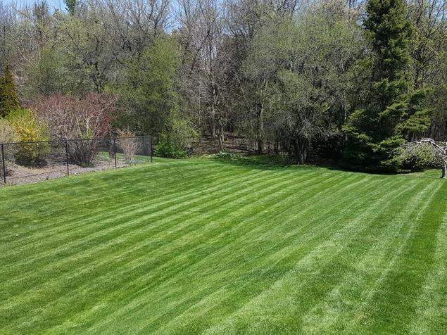 Lawn mowing Oshawa