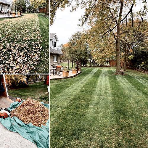 Lawn & Garden Maintenance Oshawa