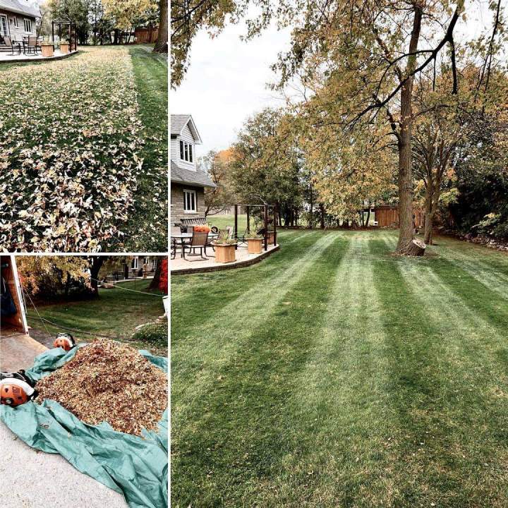 Mainttaining a healthy lawn Oshawa