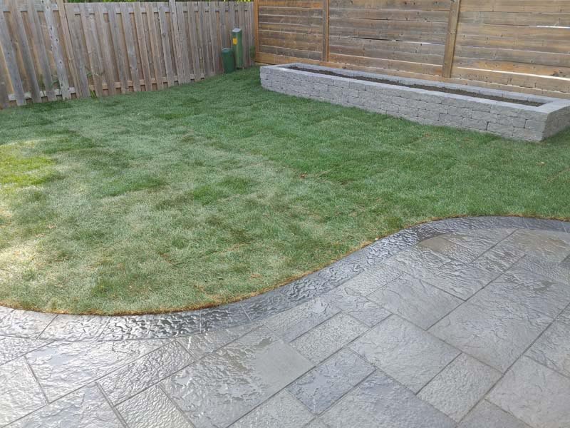 How do I get rid of pests in my lawn?, Oshawa
