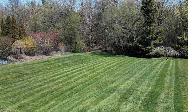 Lawn & Garden Maintenance.jpg How Do I Prepare My Garden And Lawn For Winterization?, Oshawa