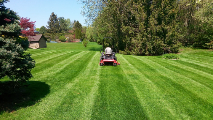 Lawn Care near Pickering<br>Professional Lawn Care near Pickering<br>Lawn Care Services near Pickering